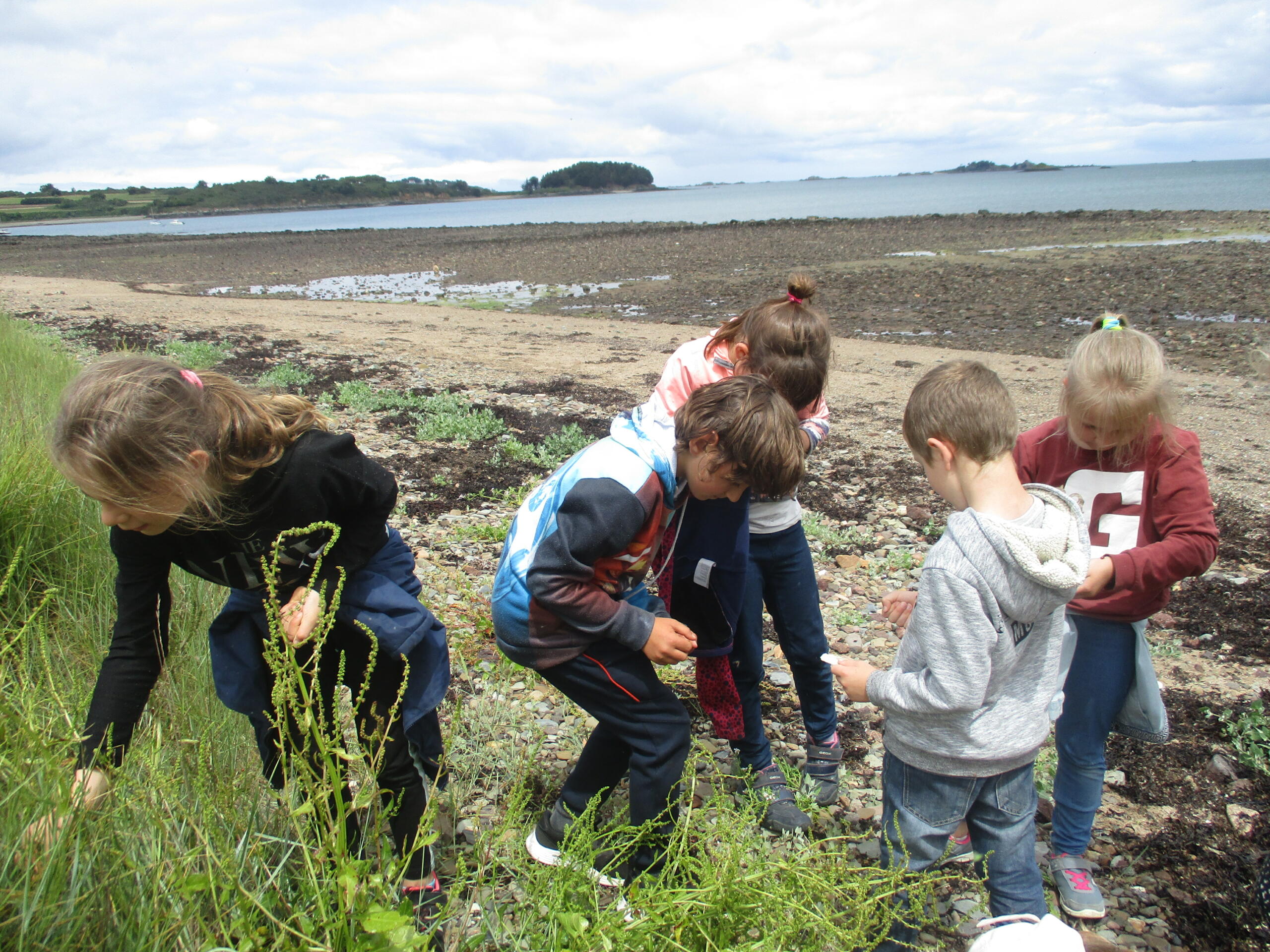 Texte de remplacement non renseigné